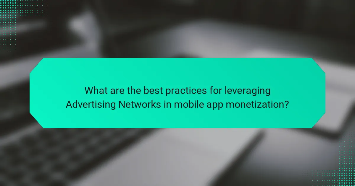 What are the best practices for leveraging Advertising Networks in mobile app monetization?