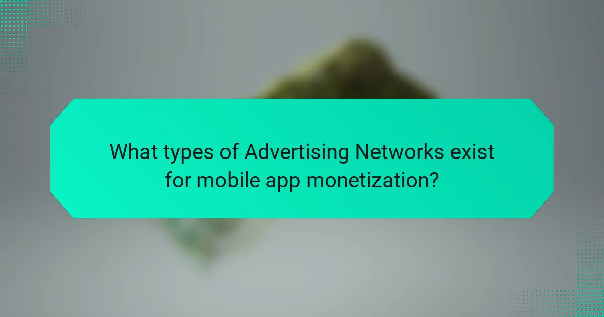 What types of Advertising Networks exist for mobile app monetization?